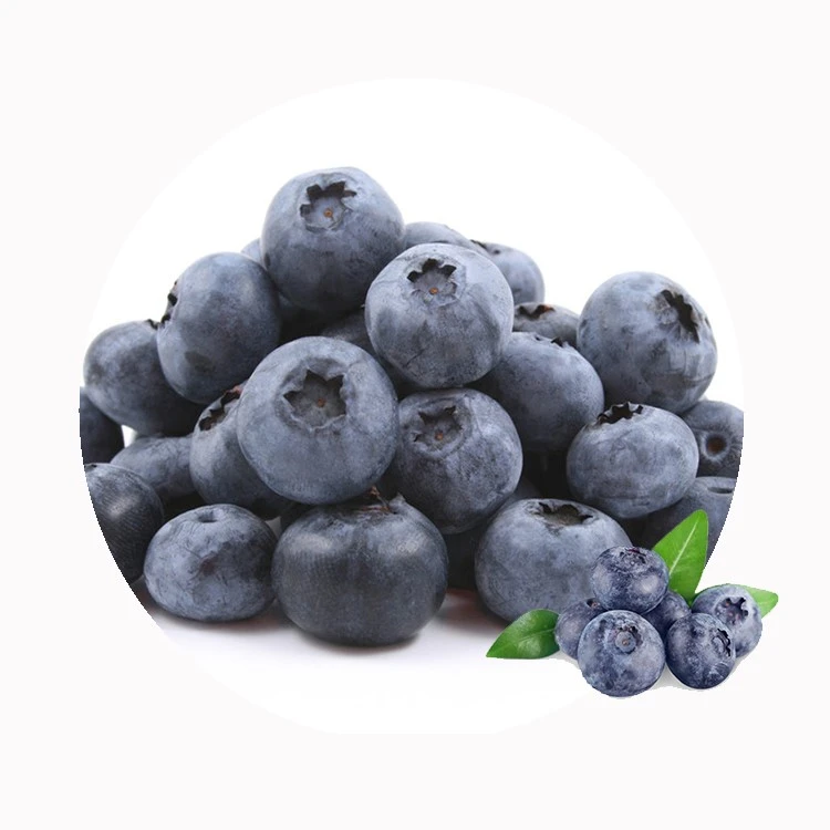 IQF frozen blueberries for smoothies and yogurt bowls
