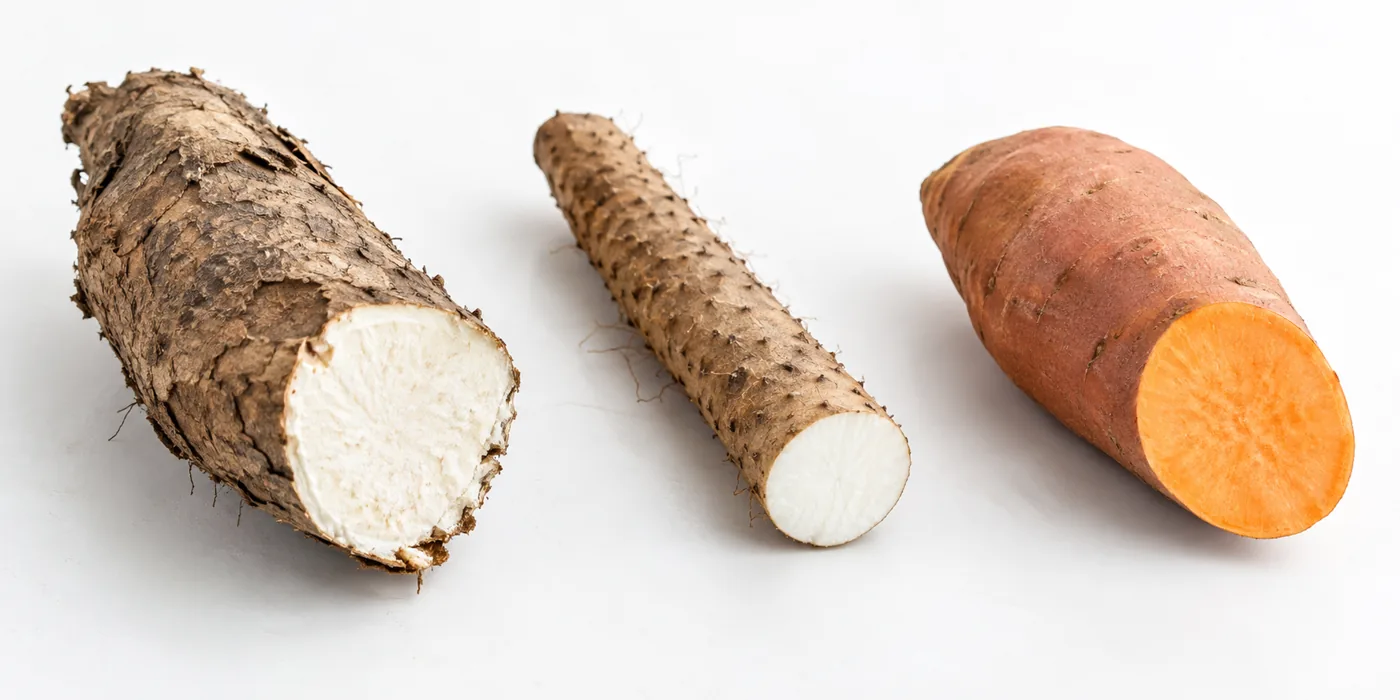 True yam, Chinese yam and orange sweet potato show different skins and cut flesh Three distinct unpeeled tubers with cut faces