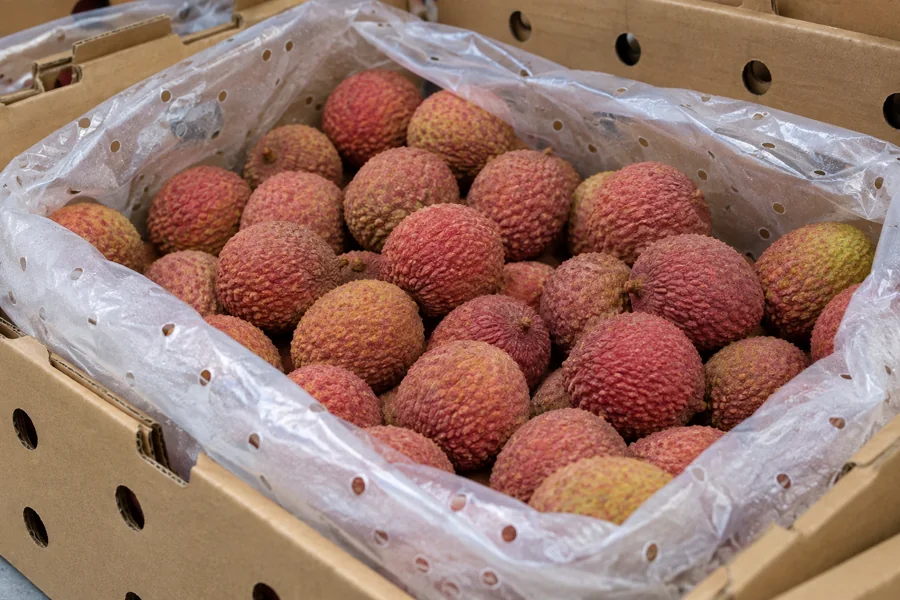 Fresh lychees in a perforated liner inside a produce carton